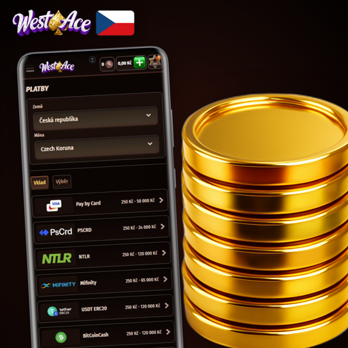 Přehled všech vkladových metod v Westace Casino na jednom místě